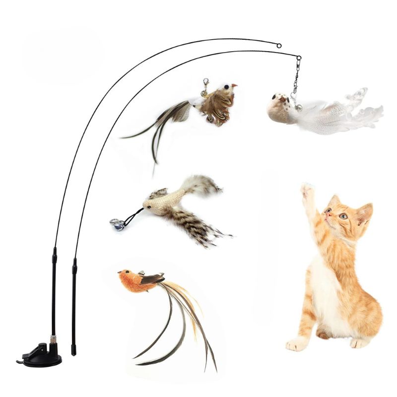 Jouet pour chat contre l'ennui - CaptureAile™