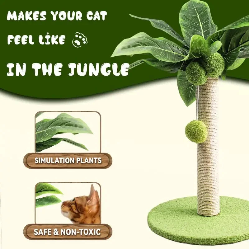 Petit arbre à chat Palmier