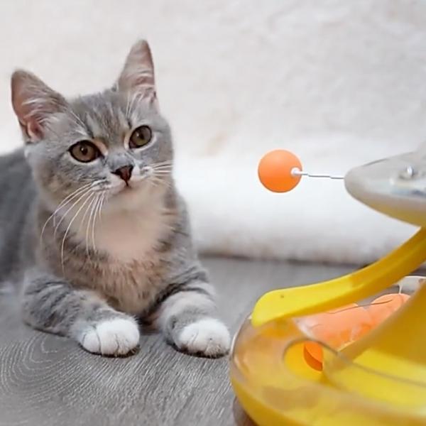 Jouet Distributeur de Croquettes - Croq'n'Roll™