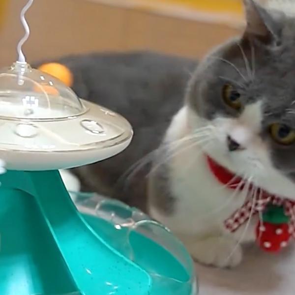 Jouet Distributeur de Croquettes - Croq'n'Roll™