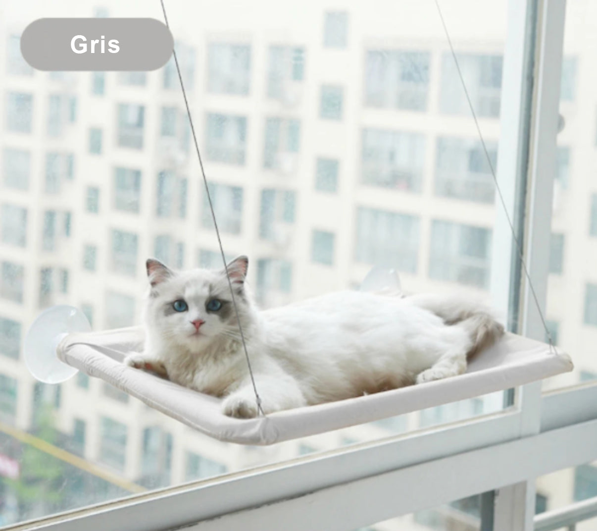 Hamac pour chat fenêtre suspendue