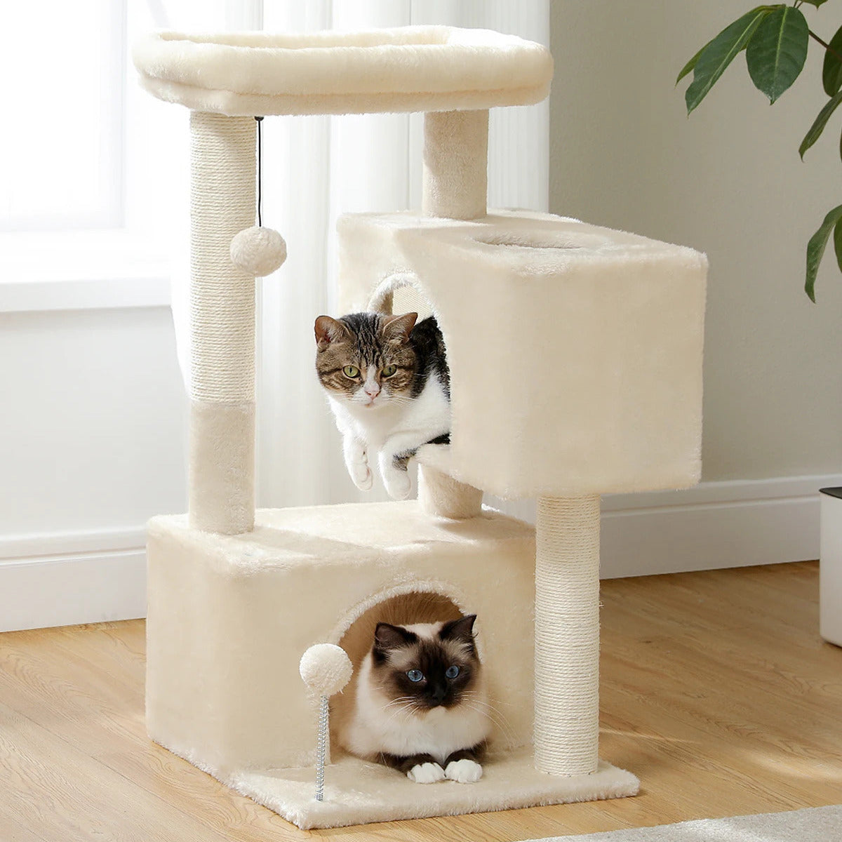 Arbre à Chat - Duo de Cabanes