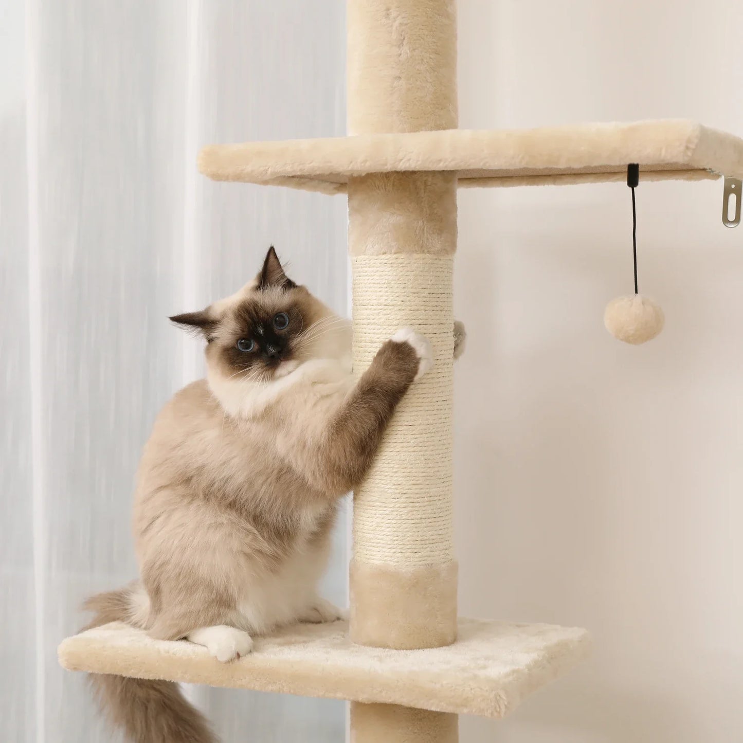 Arbre à chat avec griffoir - Arbre d'escalade