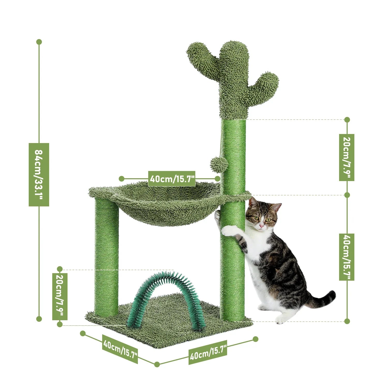 Petit arbre à chat Cactus