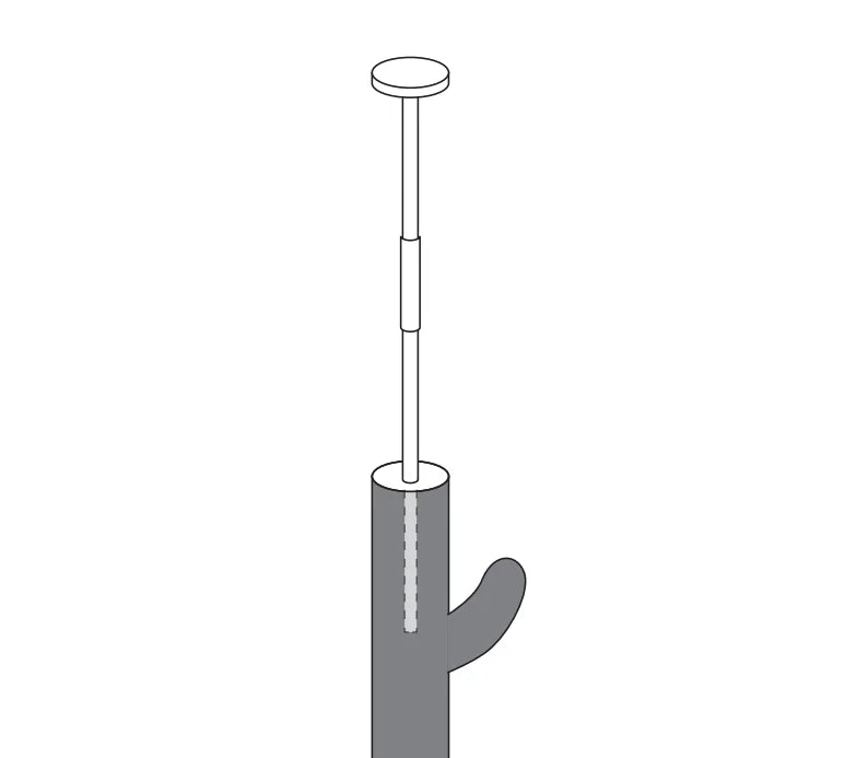 Arbre à Chat Cactus Poteau d'Escalade