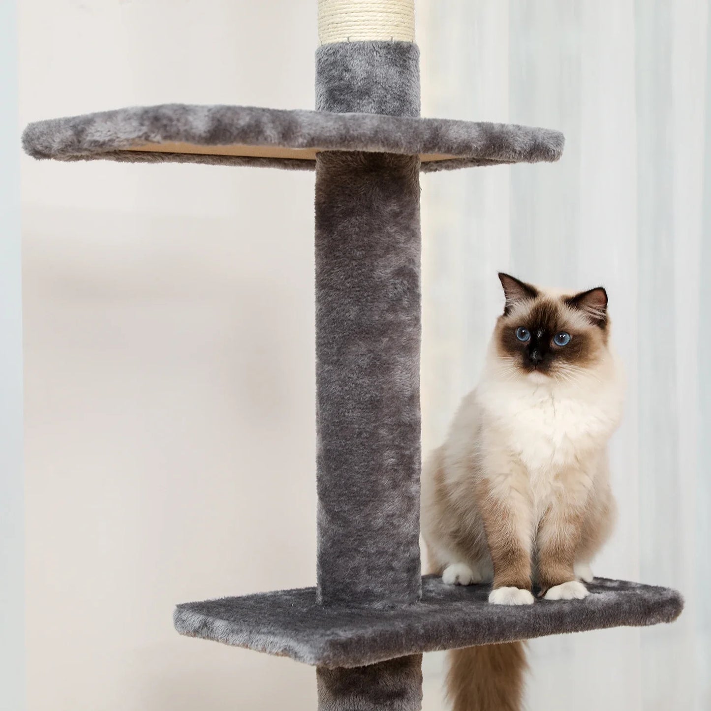 Arbre à chat avec griffoir - Arbre d'escalade