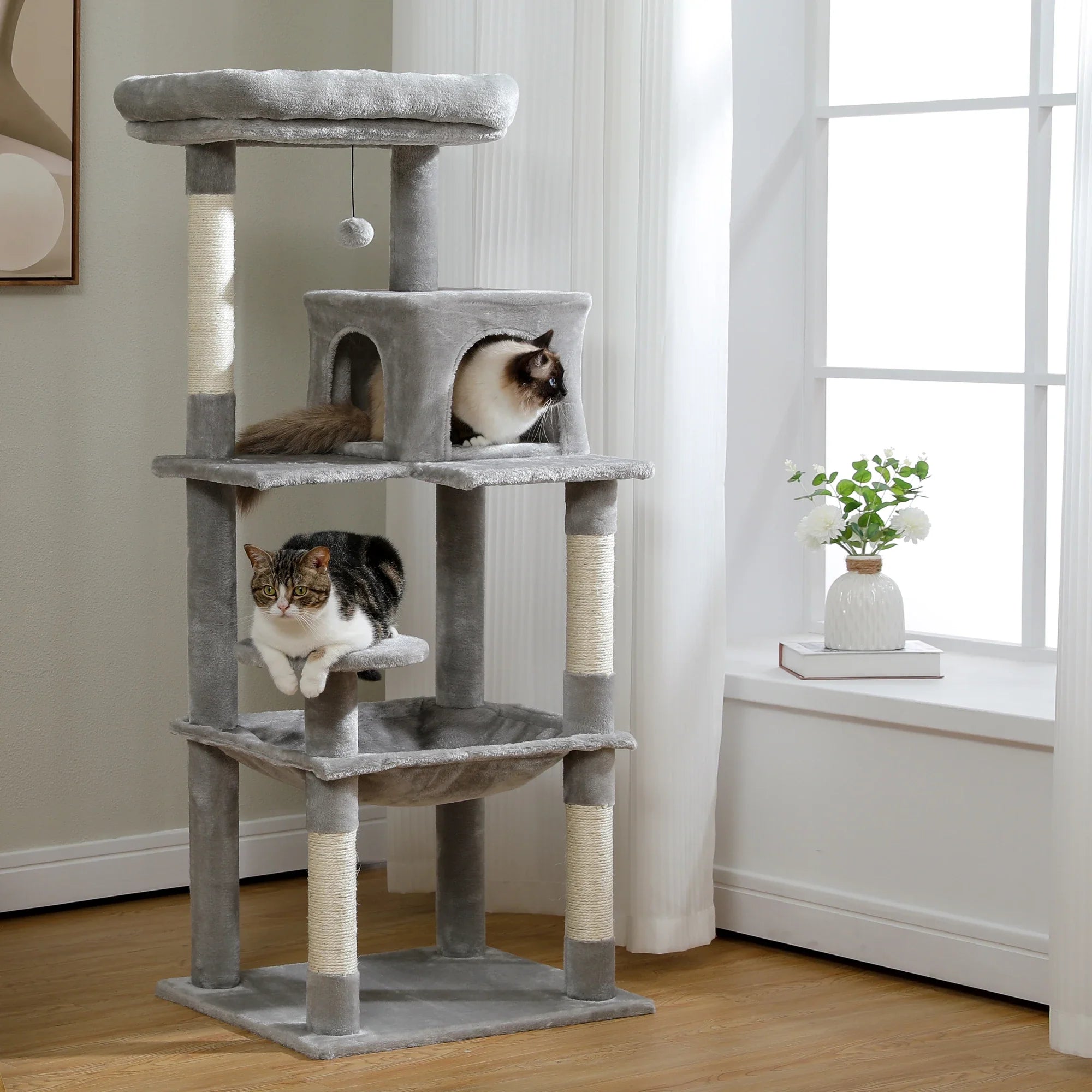 Arbre à chat avec hamac
