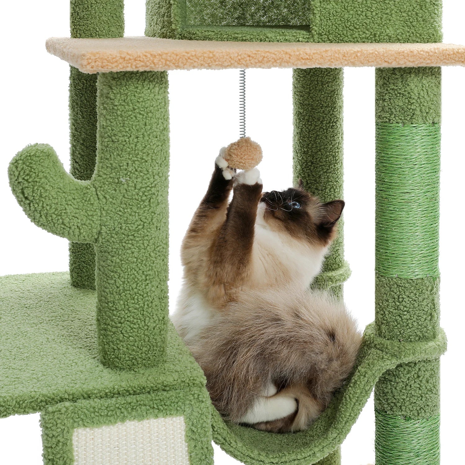 Grand arbre à chat plafond Cactus