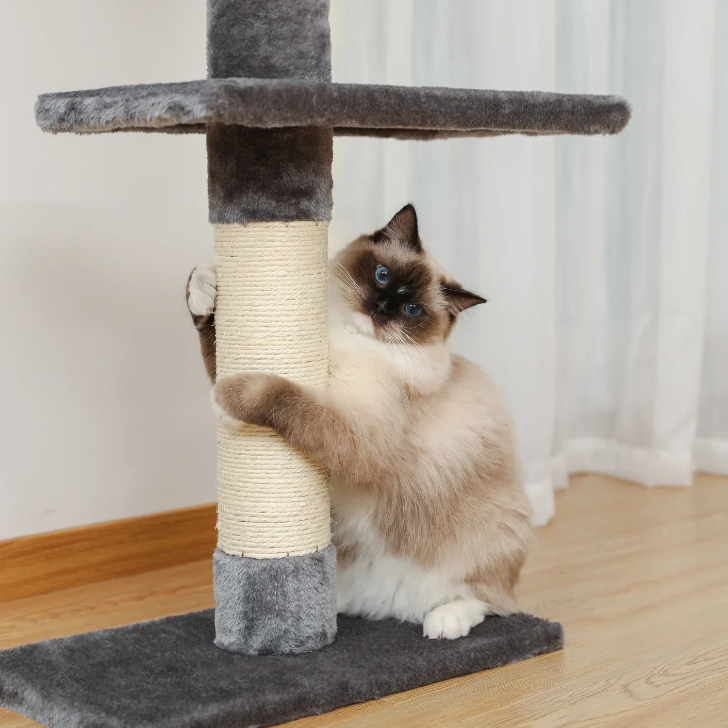 Arbre à chat avec griffoir - Arbre d'escalade