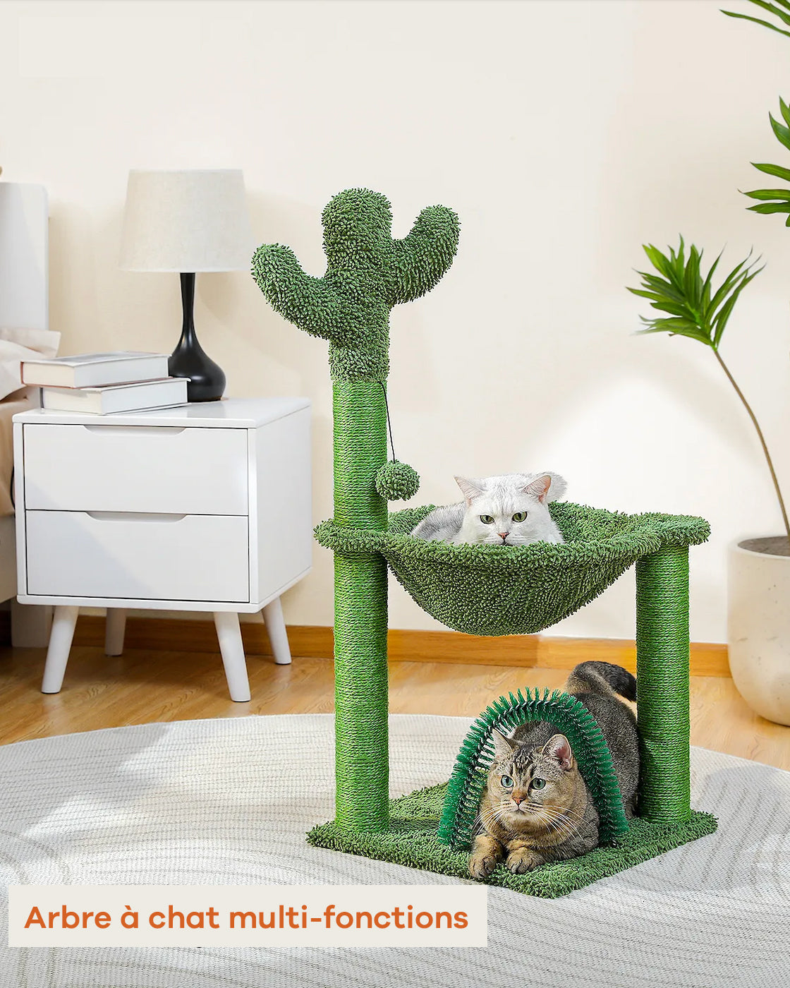 Petit arbre à chat Cactus