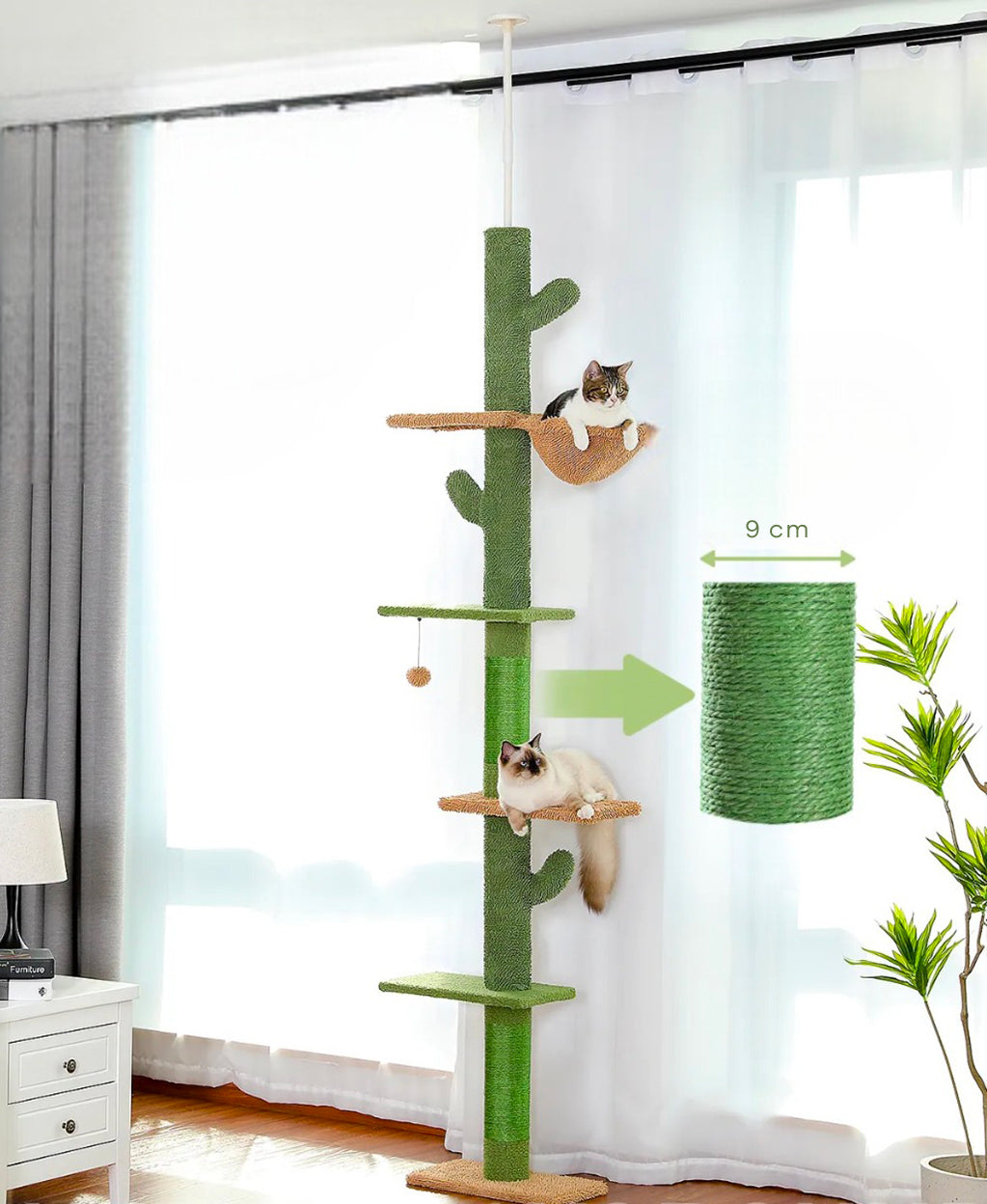 Arbre à Chat Cactus Poteau d'Escalade
