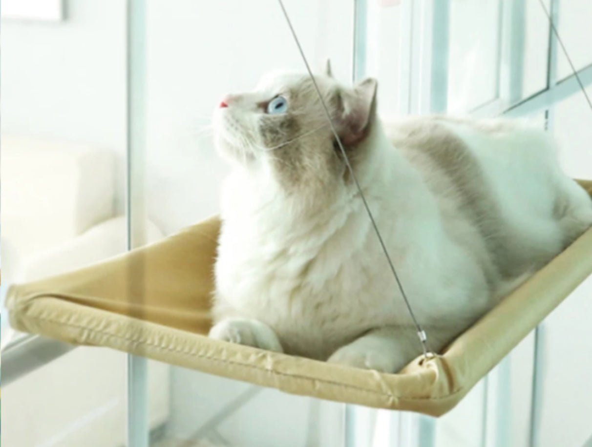 Hamac pour chat fenêtre suspendue
